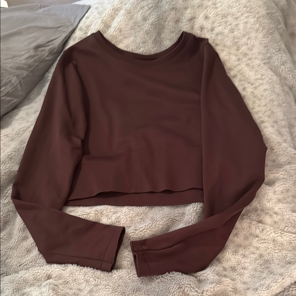 Aerie Women's Long Sleeve Crop Top - Brown
